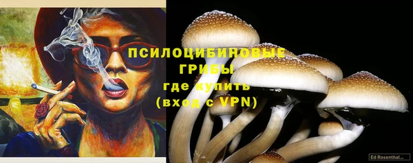 каннабис Аркадак