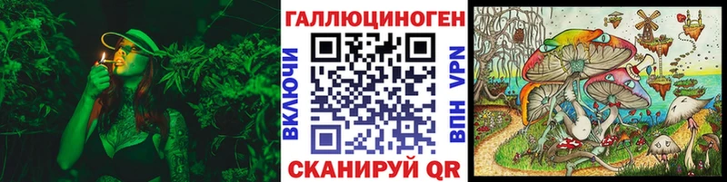 Галлюциногенные грибы Cubensis  Аша 